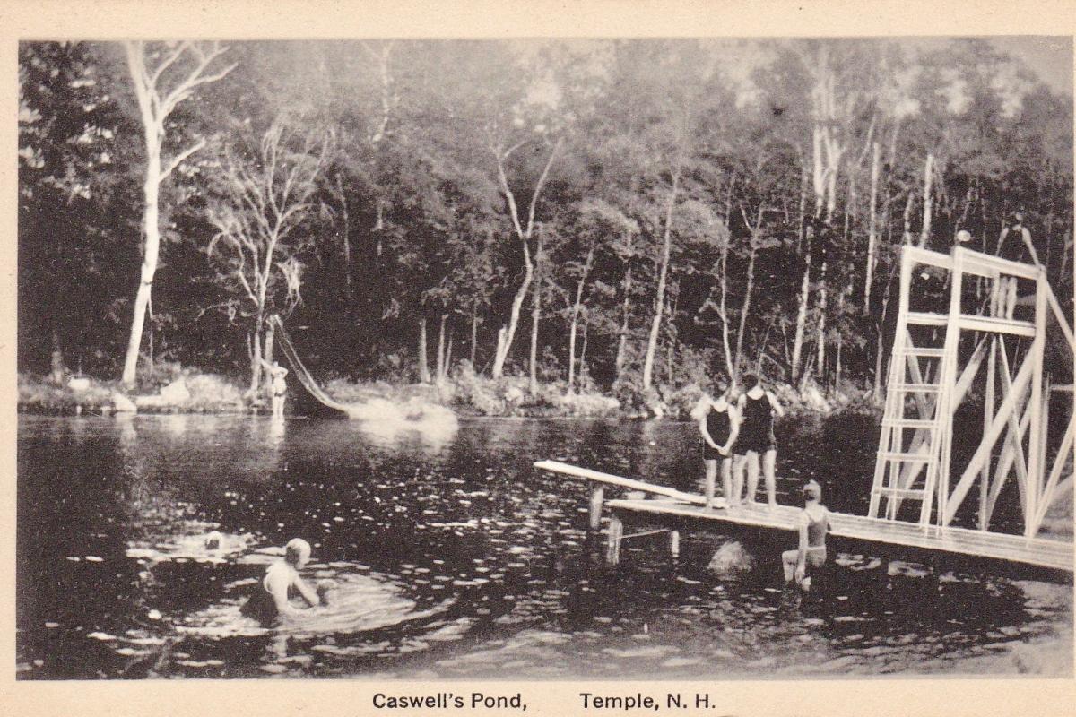 Caswell's pond swimming area