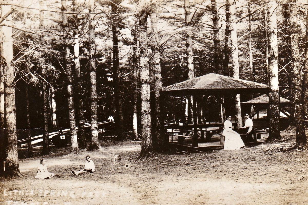 Lithia Spring Park featuring picnic shelters